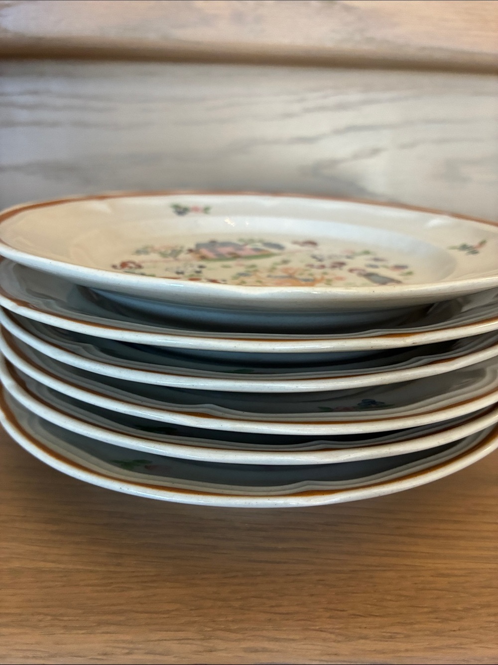 6 Jamestown China Country Home Stoneware Luncheon Plates (1980s) Folk Art Japan